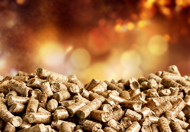 Biomass Co-Firing